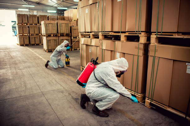 Best Affordable Pest Control Services  in Jasper, IN