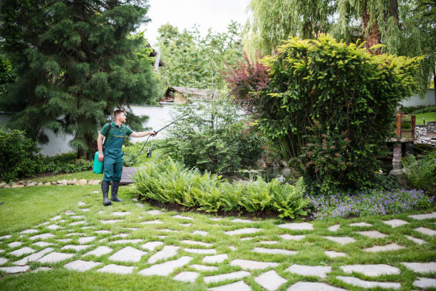 Best Residential Pest Control  in Jasper, IN