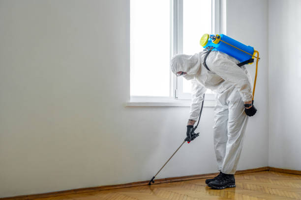 Best Affordable Pest Control Services  in Jasper, IN