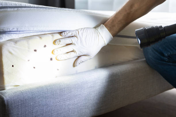 Best Pest Control Near Me  in Jasper, IN