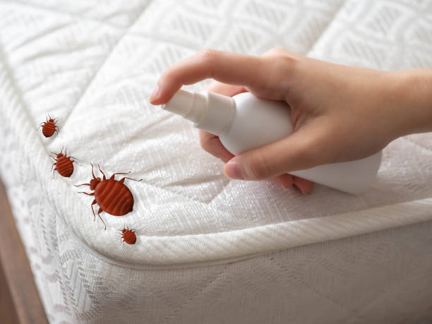 Best Flea Control Services  in Jasper, IN