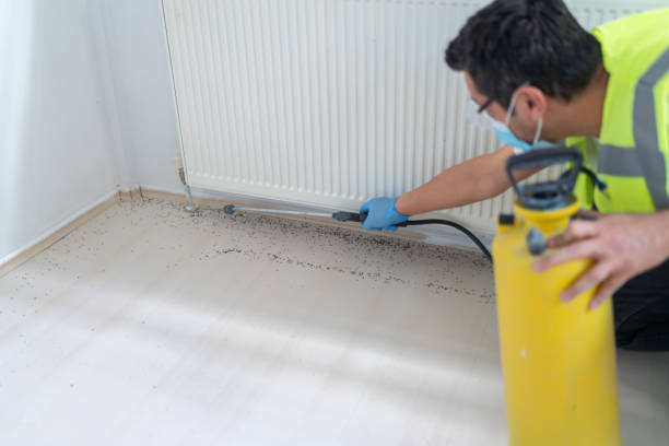 Best Pest Prevention Services  in Jasper, IN
